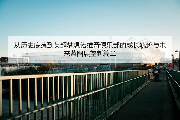 cong-li-shi-di-yun-dao-ying-chao-meng-xiang-nuo-wei-qi-ju-le-bu-de-cheng-zhang-gui-ji-yu-wei-lai-lan-tu-zhan-wang-xin-2-701.jpg