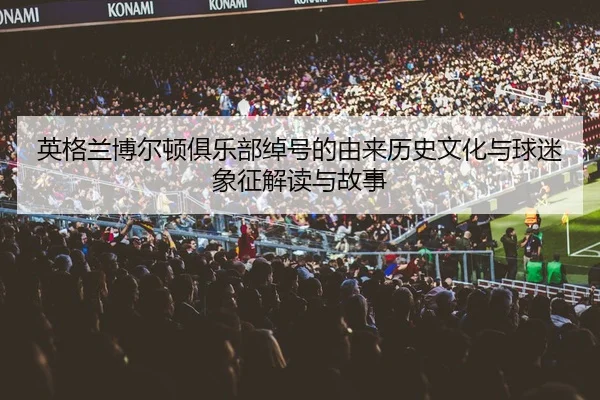 ying-ge-lan-bo-er-dun-ju-le-bu-chuo-hao-de-you-lai-li-shi-wen-hua-yu-qiu-mi-xiang-zheng-jie-du-yu-gu-shi-2-833.jpg
